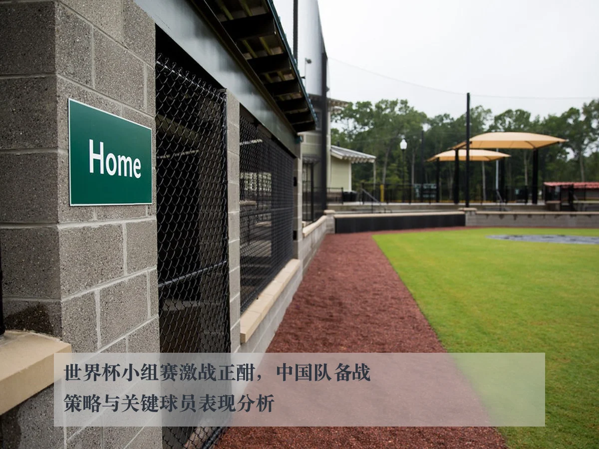 世界杯小组赛激战正酣，中国队备战策略与关键球员表现分析